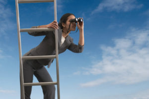 Explore business opportunities